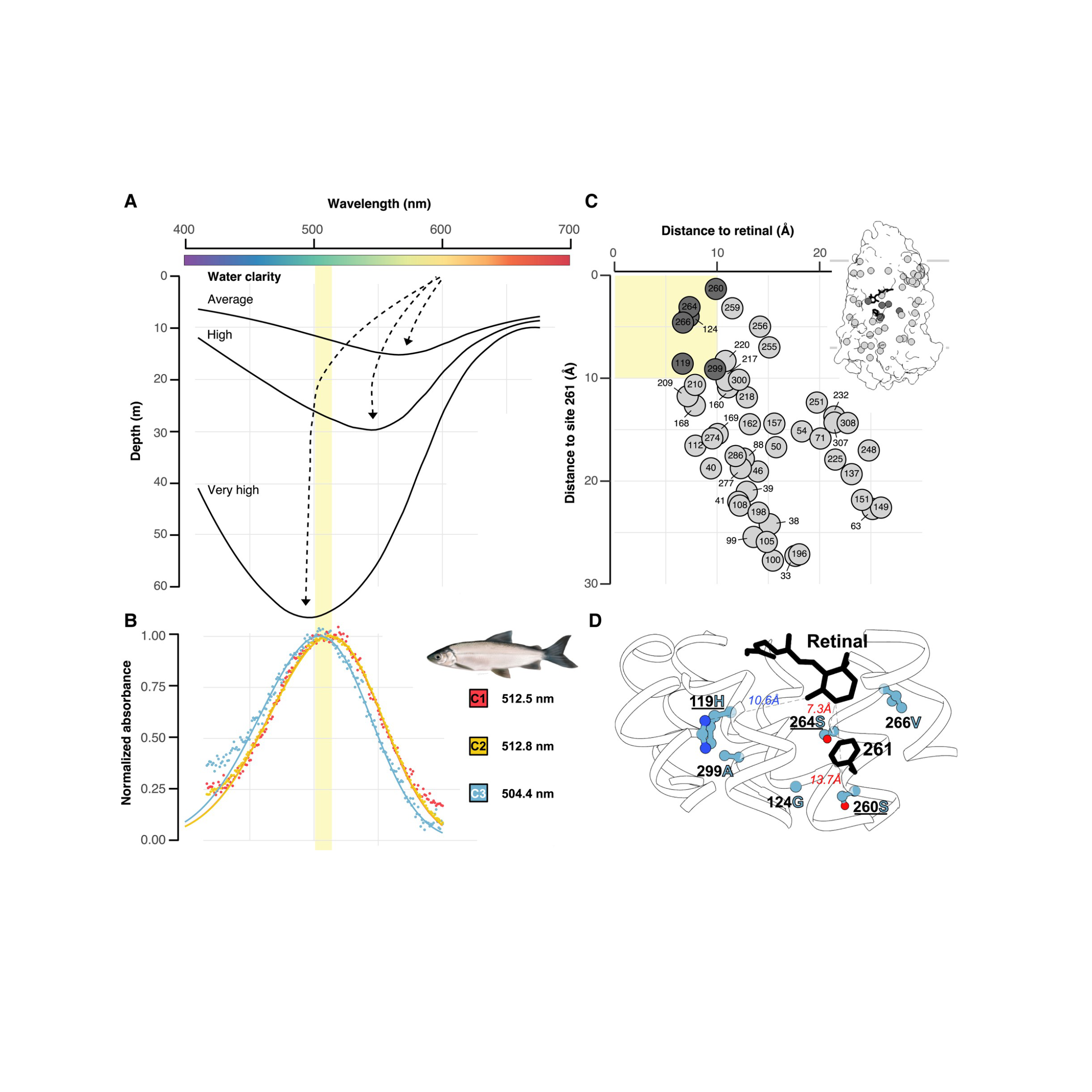 Adaptive Genomics 1